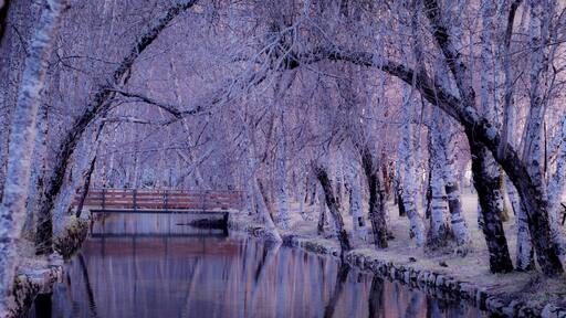 This photo came by while i was working with a model at the mountains. I never expected to take it or plan it whatsoever. As we had lunch in the park i saw this photographic opportunity.
My mother pressured me to participate in the Wiki Loves Earth 2019 and i ended up placing 7 in the Portuguese preliminary with this photo.
#Trovember
