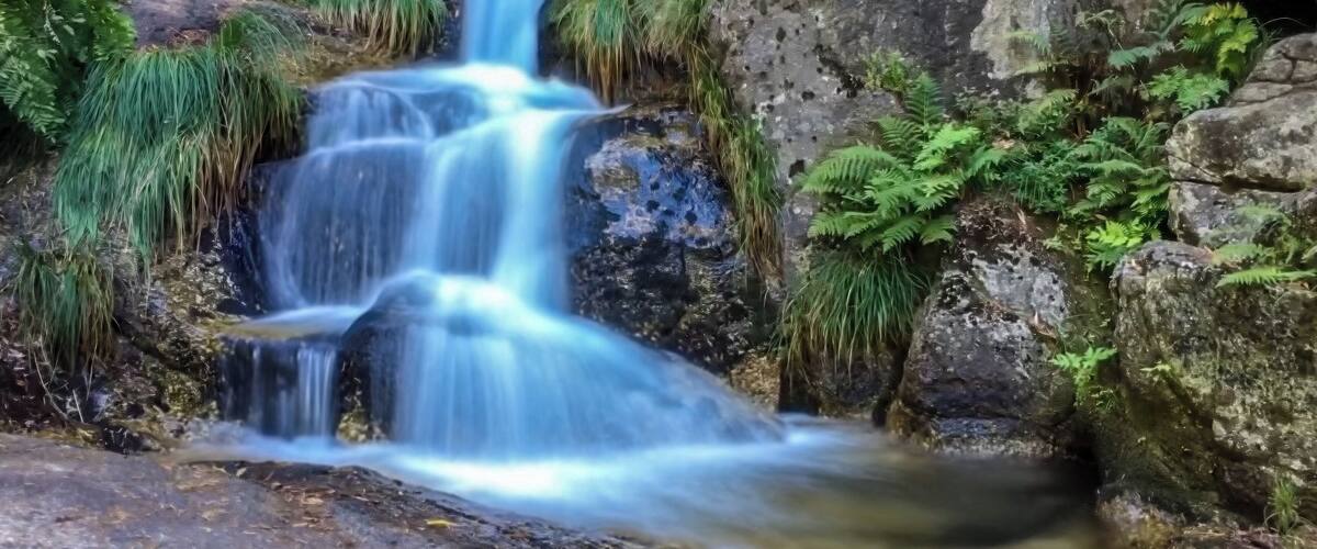 A multi-tiered waterfall surrounded by rocks and ferns.
