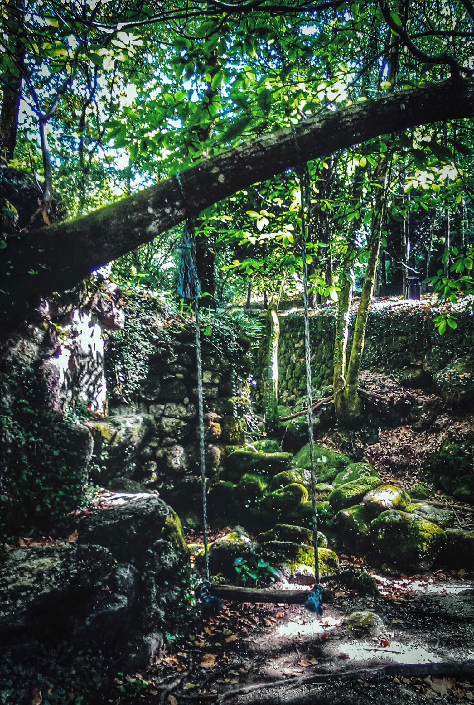 Around the Sanctuary of Our Lady of the Abbey in Santa Maria de Bouro, Amares (Braga), beautiful nature reigns, oxygenated by huge plane trees that border the yard which gives access to the forecourt of the great sanctuary and vegetation of the creek that escapes between bleak mountains.