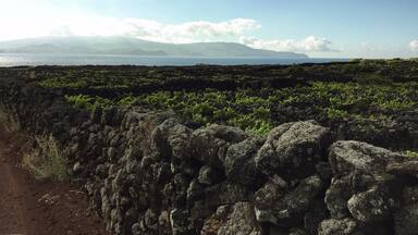 A coastal landscape with a stone wall and green vegetation.