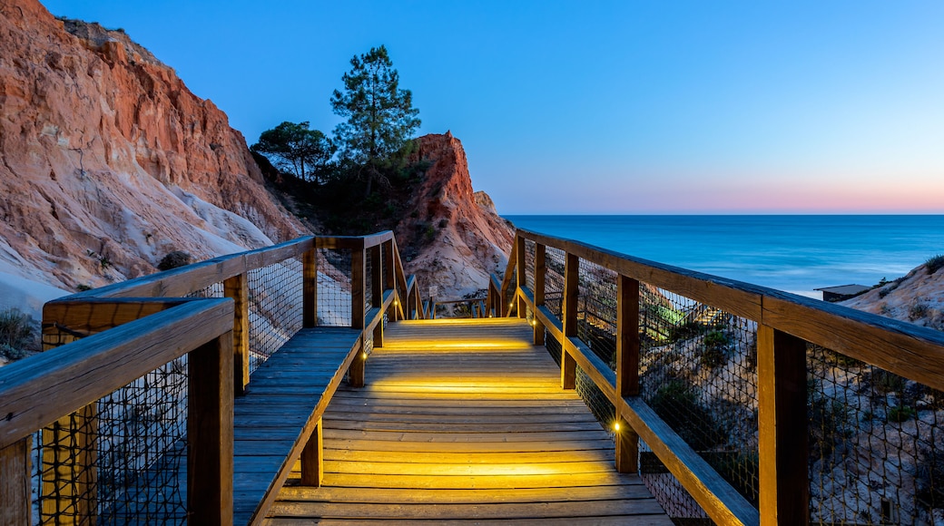 Una passerella di legno che conduce a una scogliera con vista sull'oceano al crepuscolo.