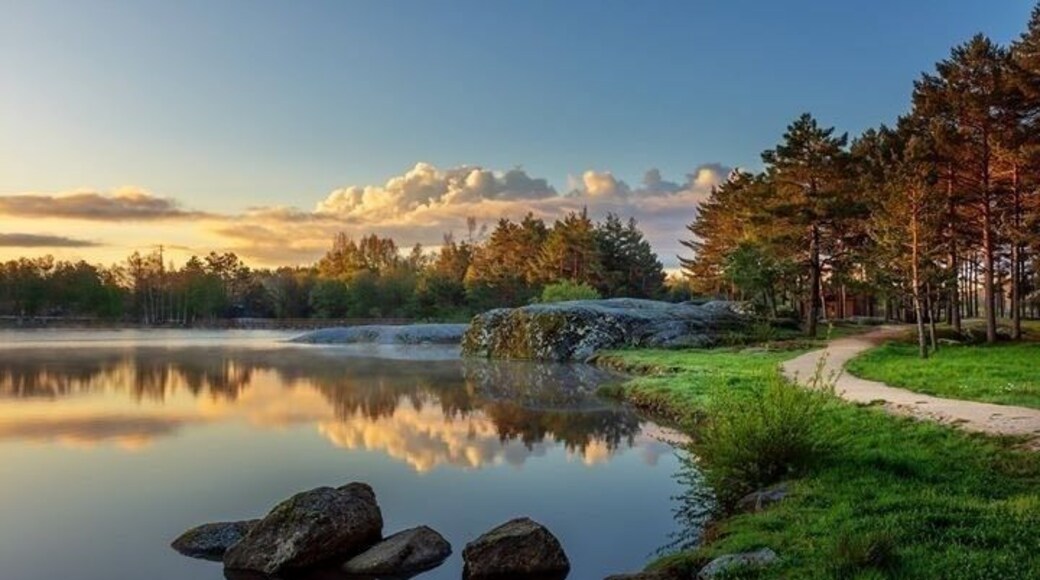 A quiet place to rest and gather your strengths.