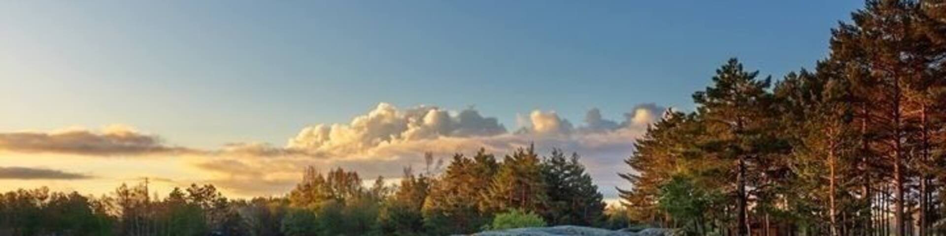 A quiet place to rest and gather your strengths.