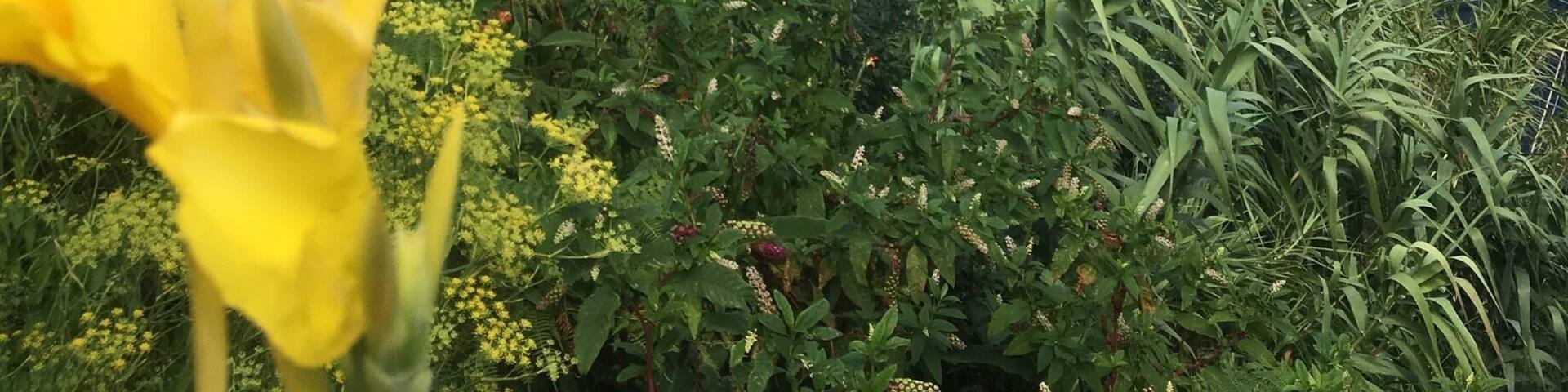 One of many awesome views alone the coast