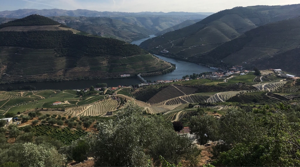 Breathtaking view of Pinhao in Douro valley where great port wine is made