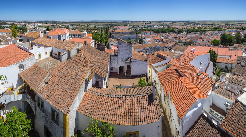 A historic town with terracotta-tiled rooftops, white buildings, and a clear blue sky.