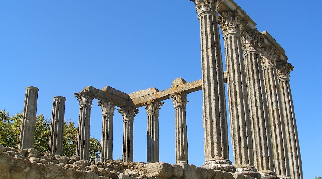 Ancient stone columns with intricate carvings, set against a clear blue sky.