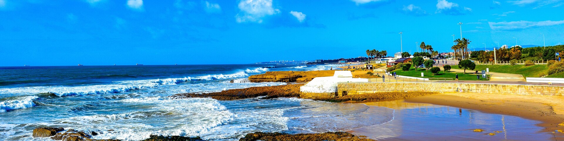 A coastal beach with waves crashing onto rocks, a sandy shore, and a park with palm trees.