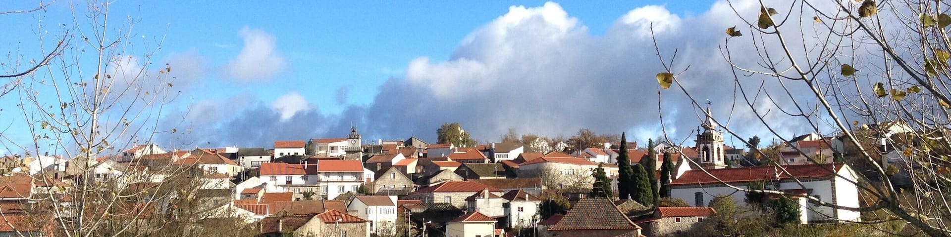 my little paradise 💙
#miuzeladocoa #portugal
#UrbanJungle