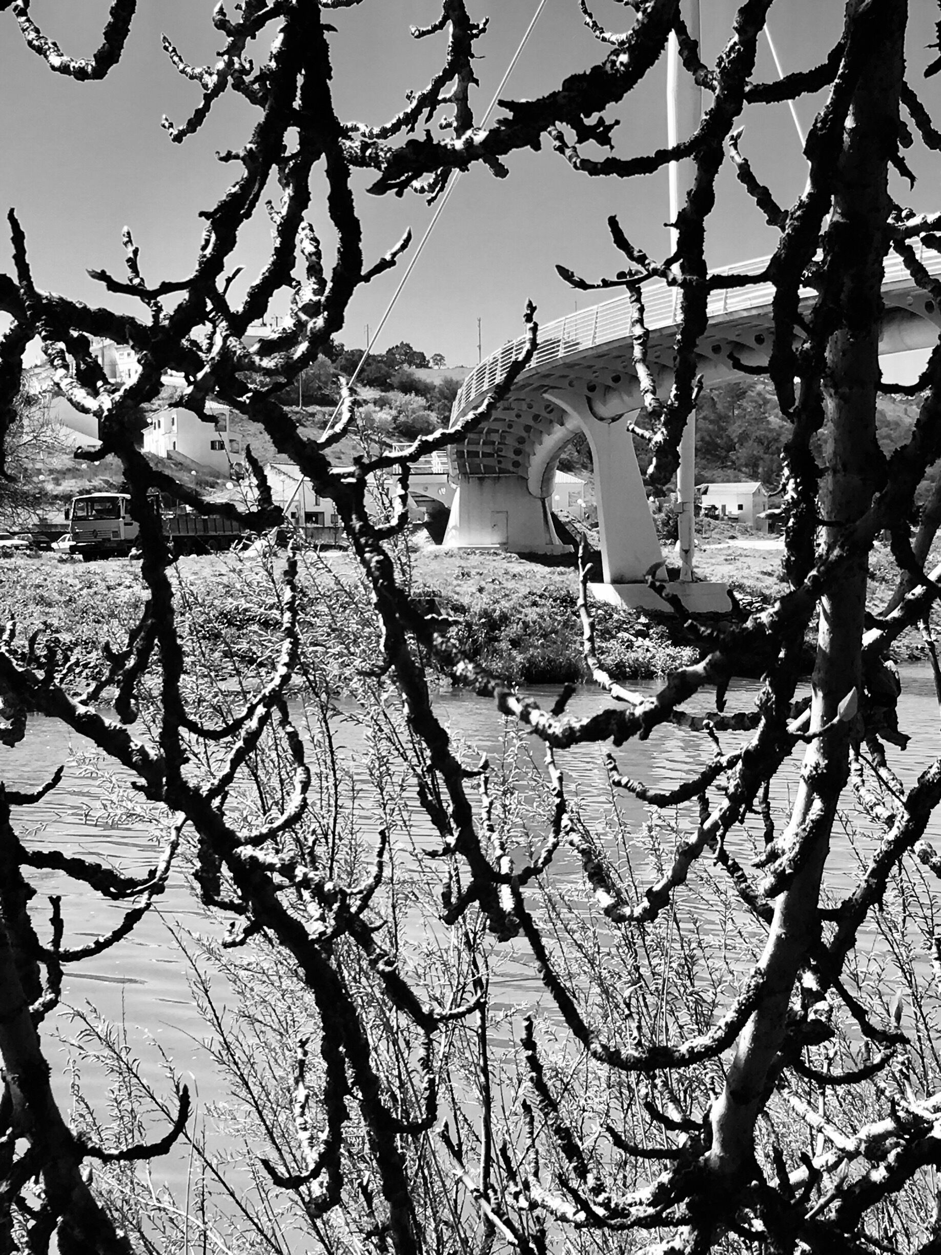 Strolling along the Mira.