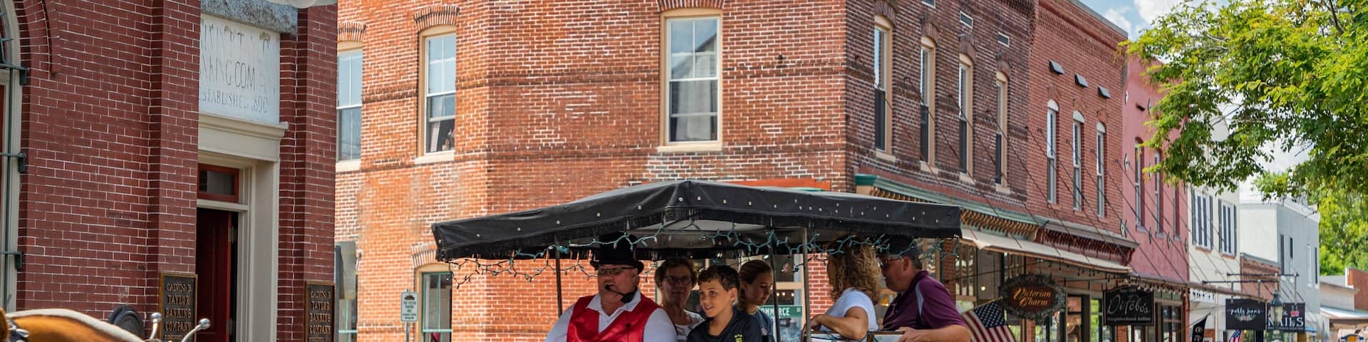 Berlin featuring land animals, heritage elements and horseriding