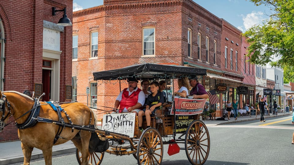 Berlin featuring land animals, heritage elements and horseriding