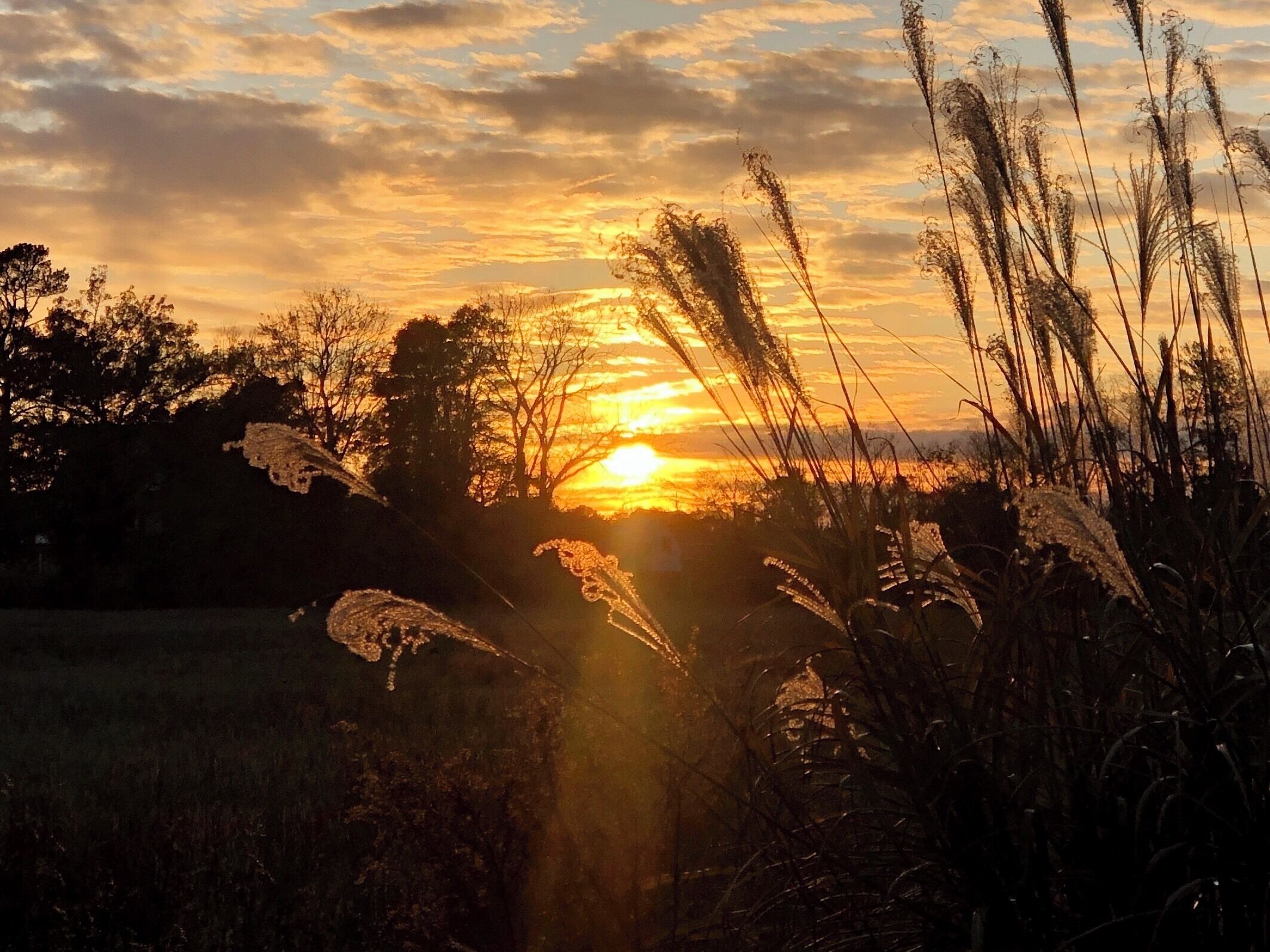 Sunset on an obscure country road near Berlin, MD on the Eastern Shore. # Trovember