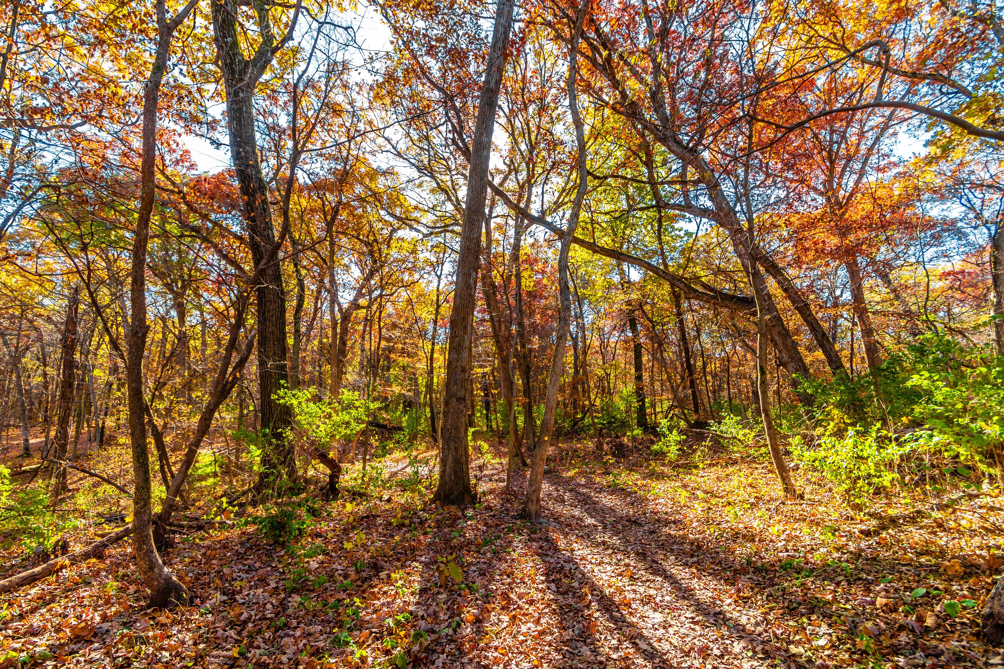 Starved Rock State Park view in Illinois of USA