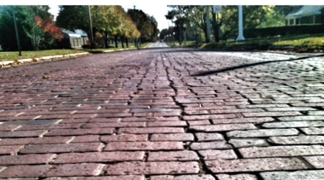 This is a rare example of a brick road still in use. Here in Michigan, and the Midwest, most brick roads have gone by the wayside due to the brutal winters and freeze/thaw cycles inherent to this part of the country.
For example, in the early 1900s, most of the streets in the city of Grand Rapids, Michigan were paved with brick. Today, there are only about 20 blocks of brick paved streets remaining (totalling less than 0.5 percent of all the streets in the city limits). -wiki
#PureMichigan #roads #roadto