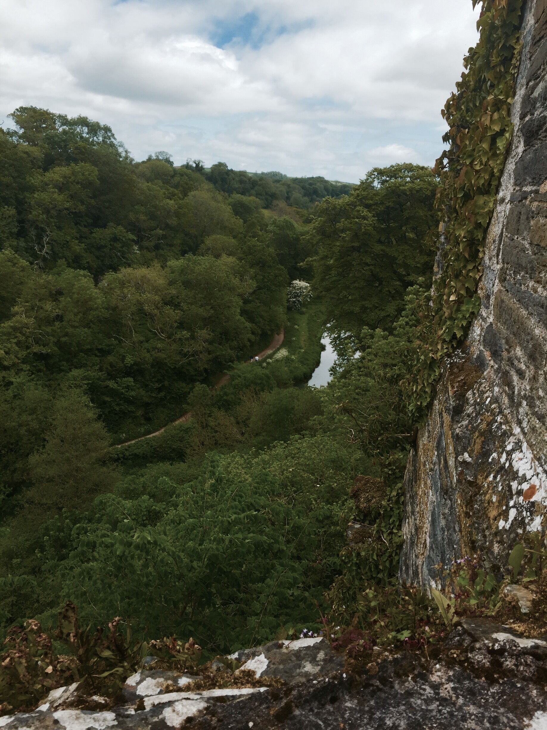 In Devon England at berry pomeroy castle. What a view of the river. So green. #hiking. #england