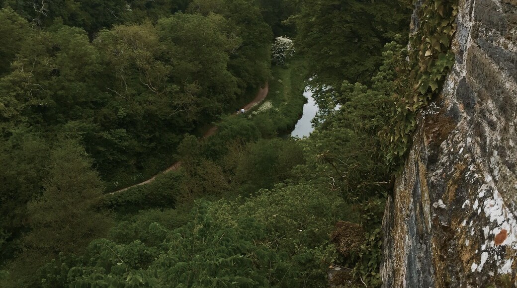 In Devon England at berry pomeroy castle. What a view of the river. So green. #hiking. #england