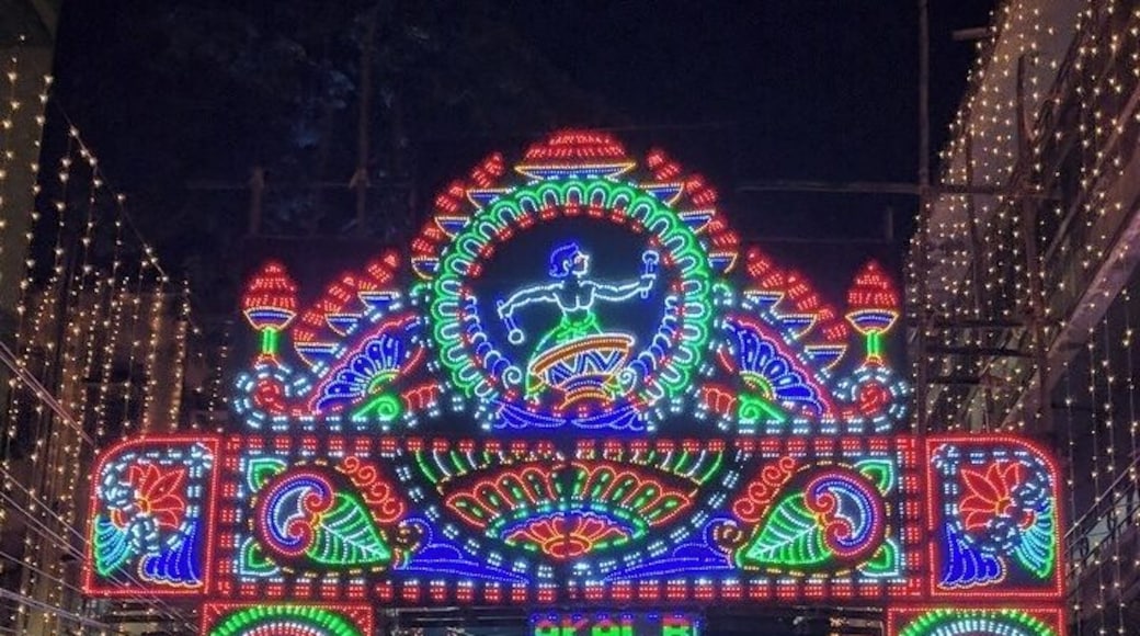 During Durga Pooja, the Entire City of Kolkata is shining with vibrant colors and light for all 9 days of Navratri festival. People from various caste and creeds come together to pray to Goddess Durga for courage and determination to fight and achieve victory over all obstacles in their lives.
Its a real treat for your eyes and your tongue to be present in Kolkata during Durga Poojo!!
#lifeatexpedia #lights