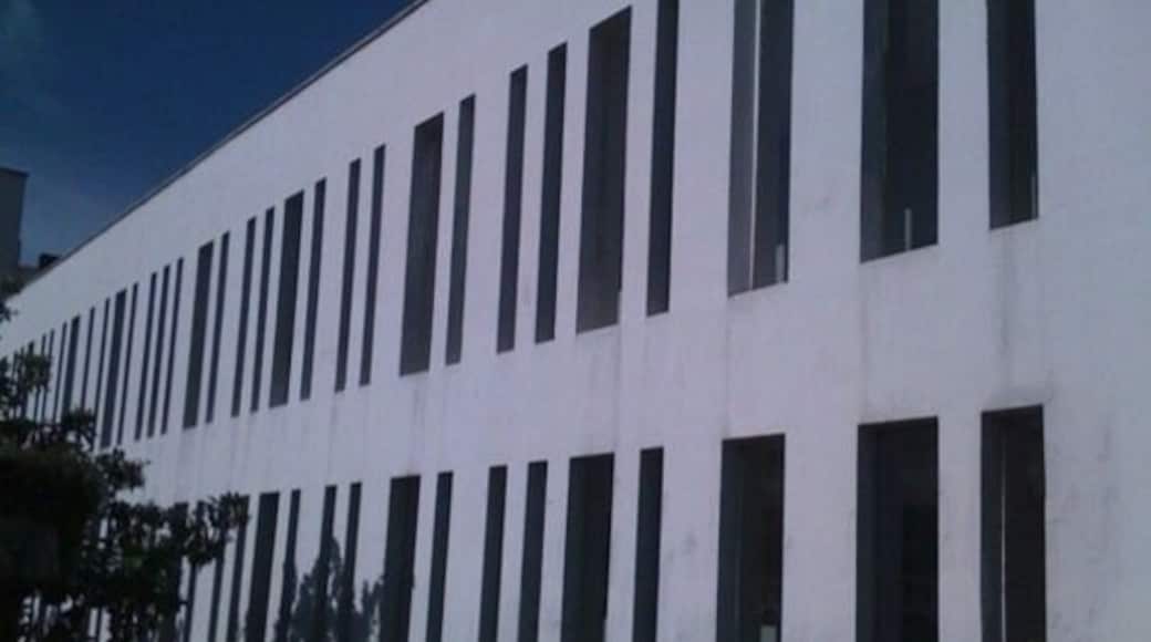 Hotel designed by Kerry Architects, this facade emulates a barcode symbol amplified with the shadows that serves as the opening.