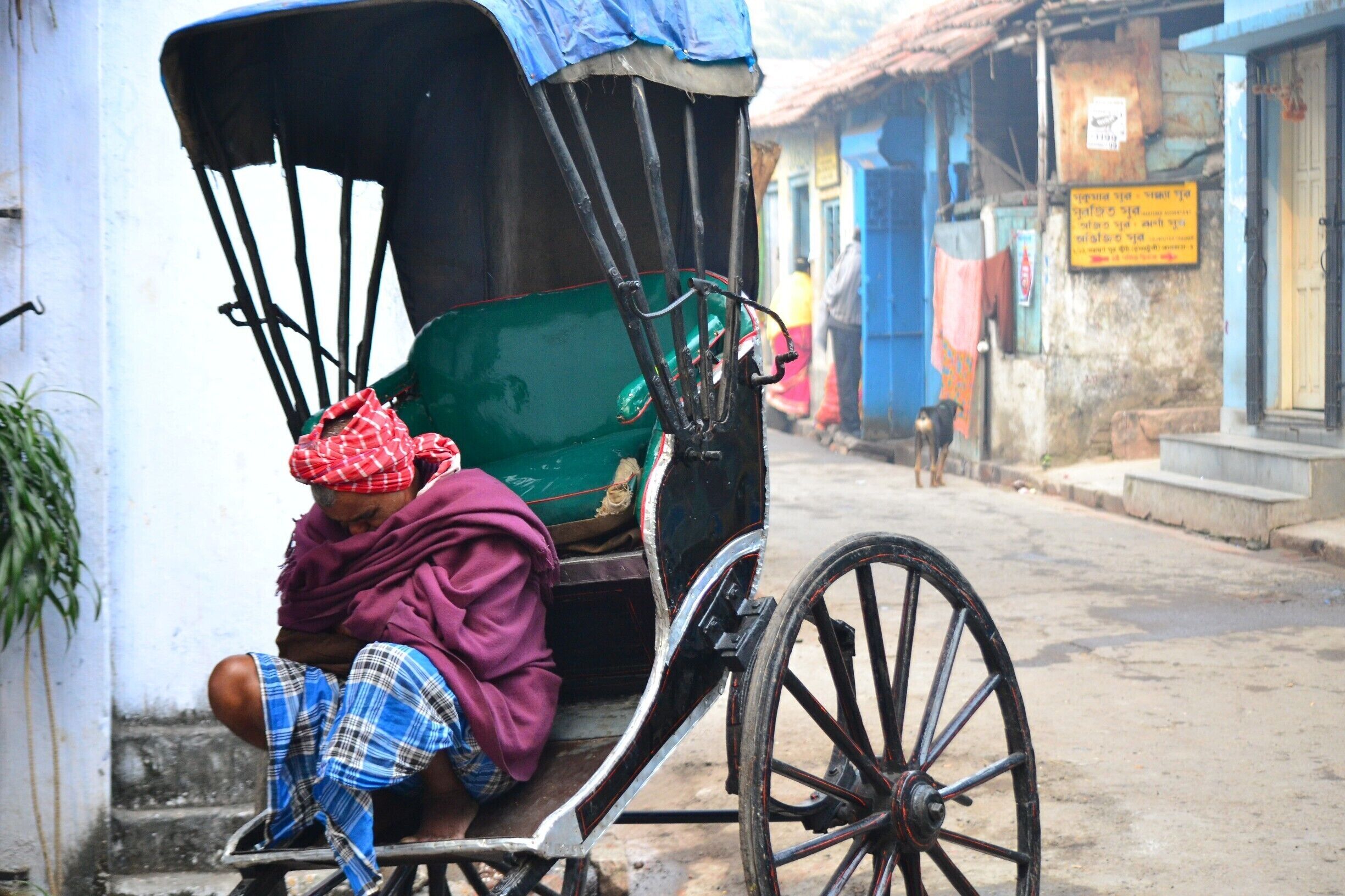 early morning in Winter - guess that is the best thing to do when there are no customers. #UrbanJungle