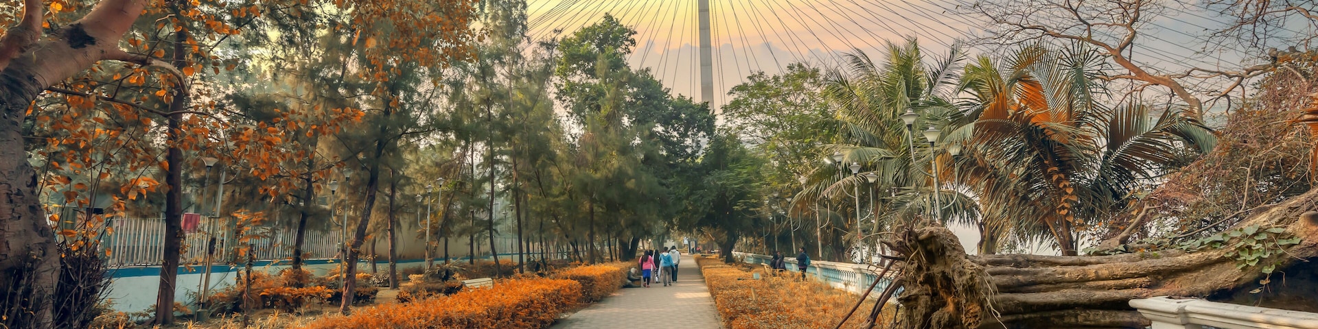Un sendero bordeado de árboles y arbustos que conduce a un puente con estructura de cable.