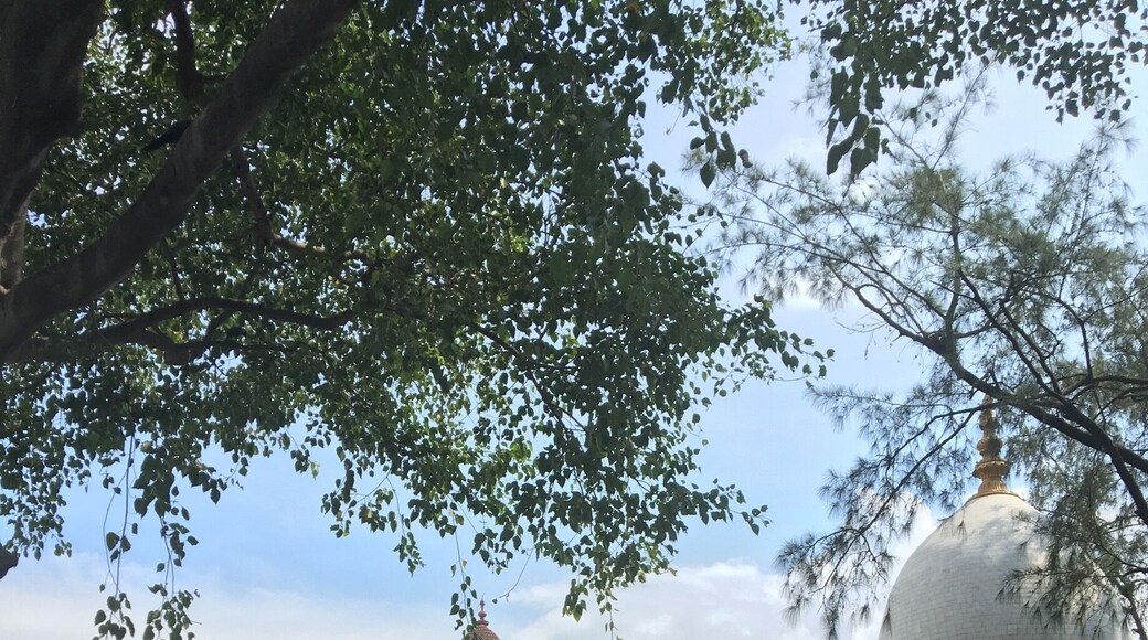 Dakshineswar Kali Temple is a Hindu temple located in Dakshineswar near Kolkata. Situated on the eastern bank of the Hooghly River, the presiding deity of the temple is Bhavatarini, an aspect of Kali, meaning, 'She who liberates Her devotees from the ocean of existence i.e. Saṃsāra'.
The temple was built in 1855 by Rani Rashmoni, a philanthropist and a devotee of Kali. The temple is famous for its association with Ramakrishna, a mystic of 19th Century Bengal.