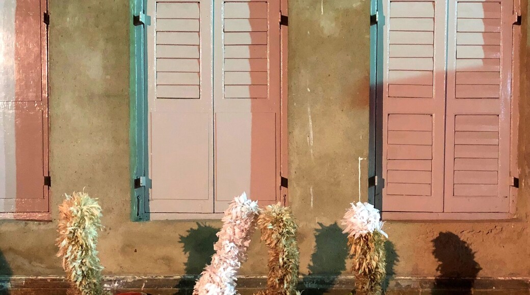 Dhaks #drumsofbengal #durgapuja #festivitiesinbengal