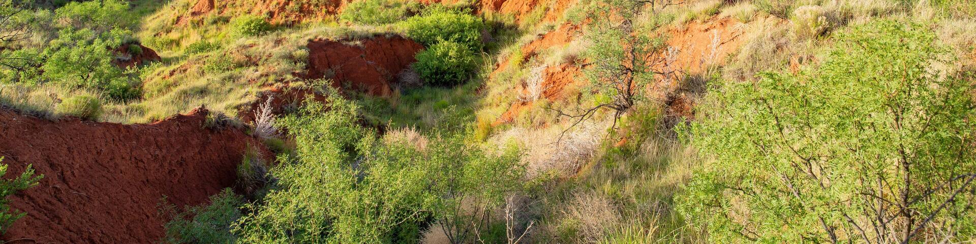 Hillside in Lake Meredith National Recreation Area, Texas, USA