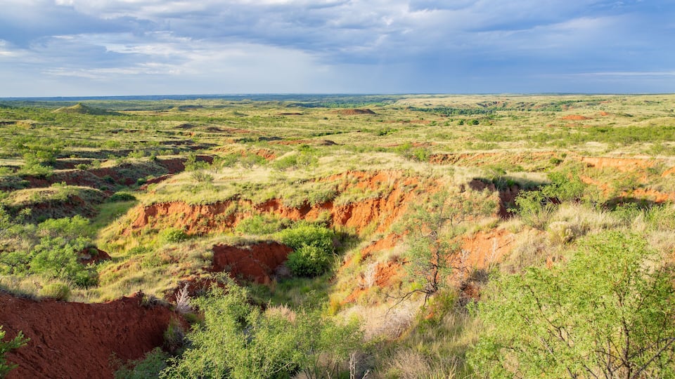A vast savanna landscape with red earth mounds and green vegetation under a partly cloudy sky.