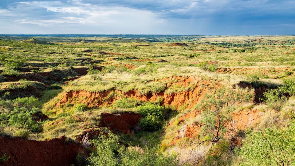 A vast savanna landscape with rolling hills, sparse vegetation, and a dramatic red cliff.