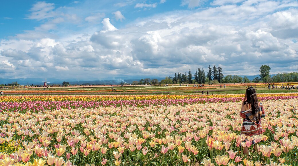 Rubi's favorite flowers are tulips... So, while exploring Oregon, we stopped to enjoy this beautiful Tulip Festival, not too far from Portland... Rubi didn't know we were going to stop here :)