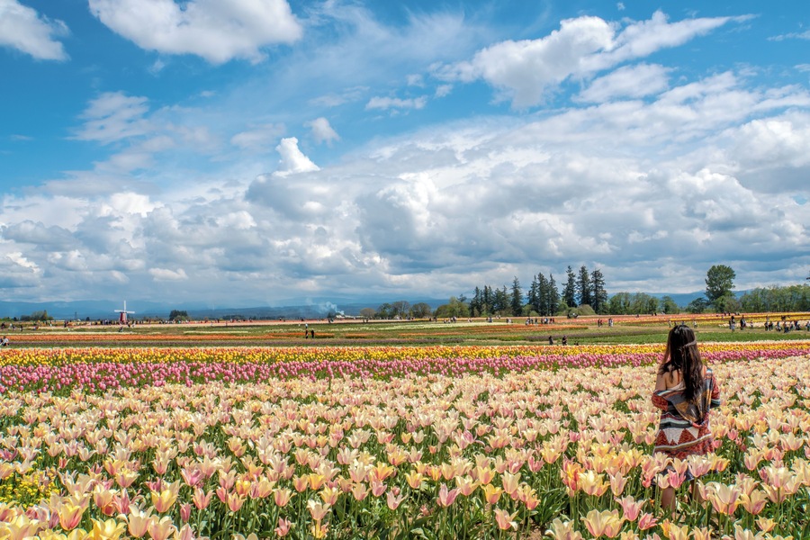 Rubi's favorite flowers are tulips... So, while exploring Oregon, we stopped to enjoy this beautiful Tulip Festival, not too far from Portland... Rubi didn't know we were going to stop here :)