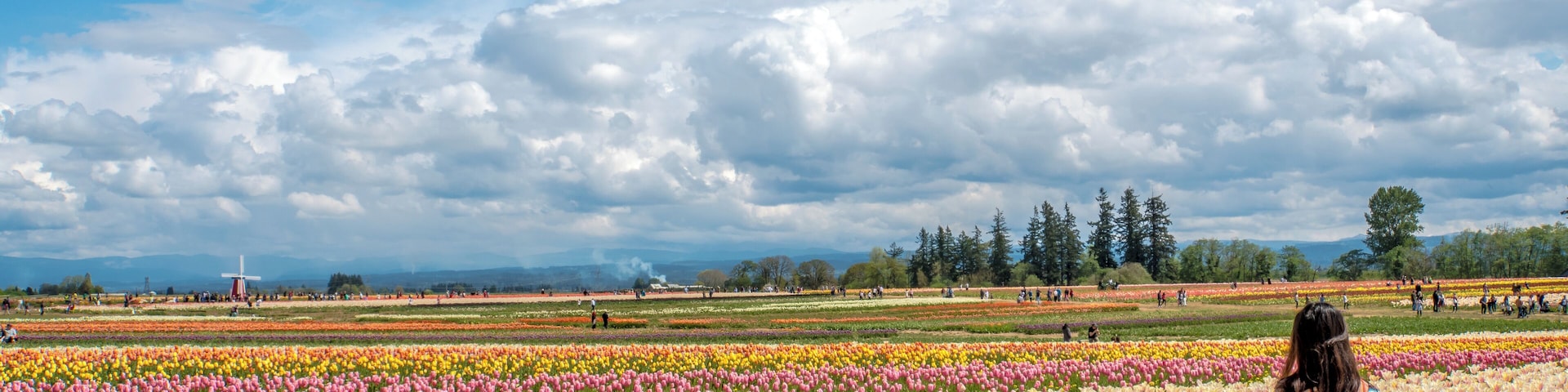 Rubi's favorite flowers are tulips... So, while exploring Oregon, we stopped to enjoy this beautiful Tulip Festival, not too far from Portland... Rubi didn't know we were going to stop here :)
