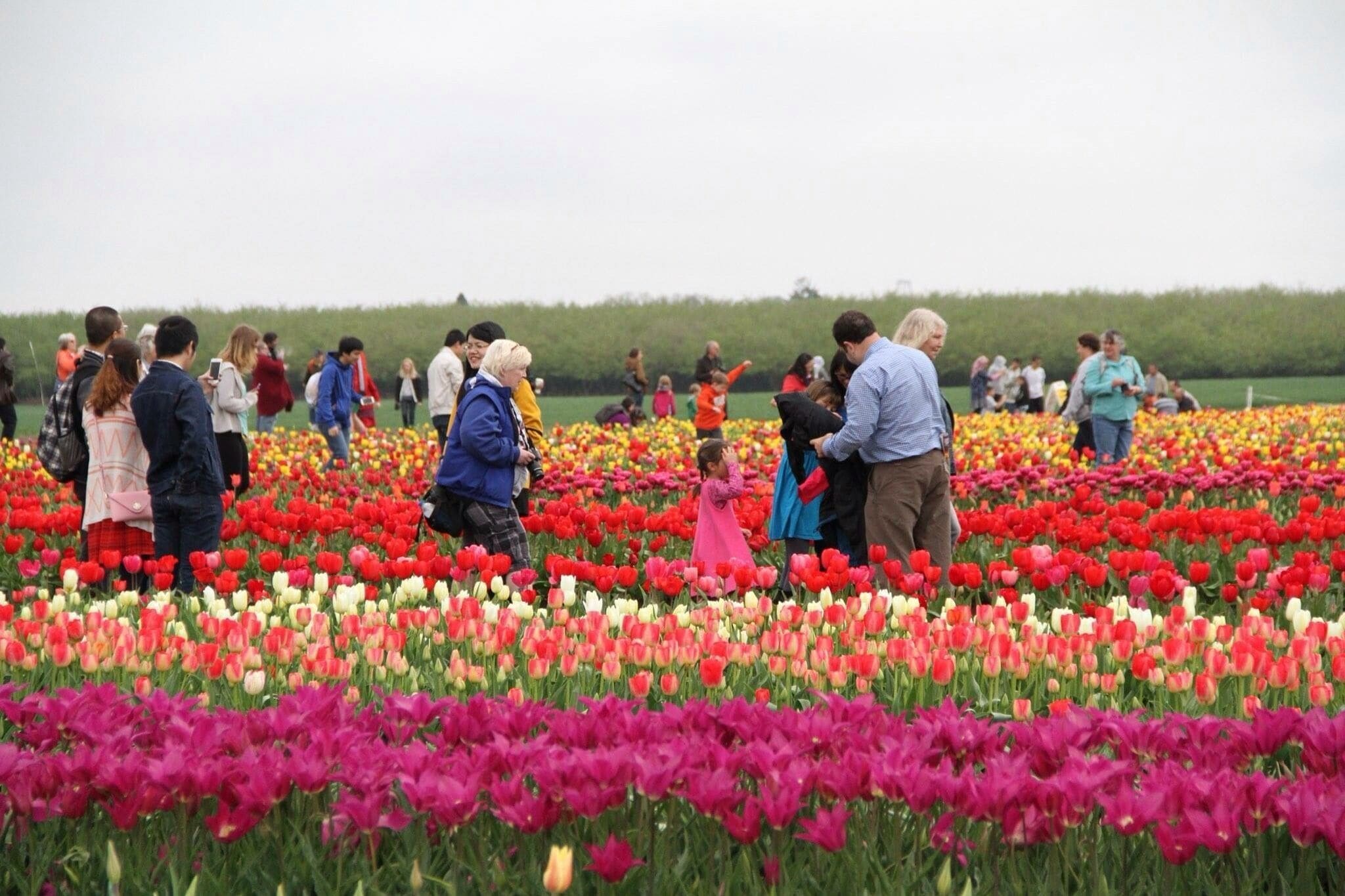 클랙커머스 카운티