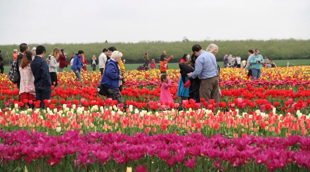 ํด๋์ปค๋จธ์ค ์นด์ดํฐ