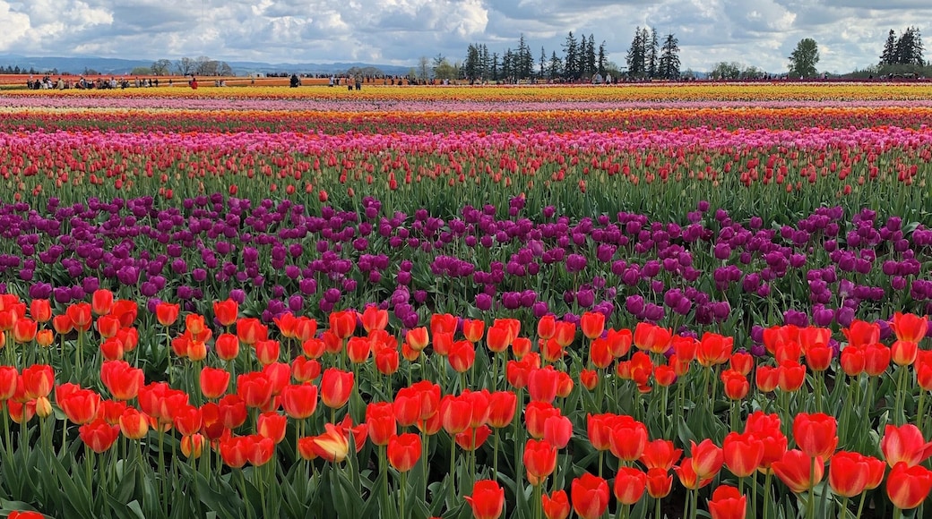 Beautiful day, vibrant colors and lots of memories.