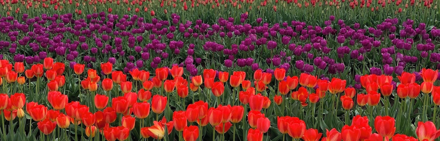 Beautiful day, vibrant colors and lots of memories.