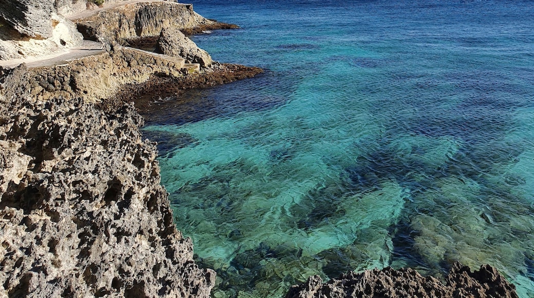 South isla mujeres, below the Mayan temple of Ixchel, you can find "secret" stairs that will take you to a rock road surrounding the south end of the island. If the sea is calm, like today, you can swim in crystal clear waters surrounded by small fish. #lifeAtExpediaGroup