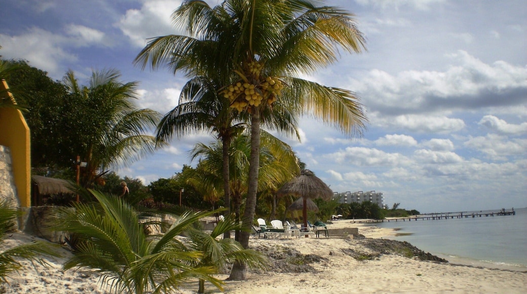 A must go place, if you go to Cancun!