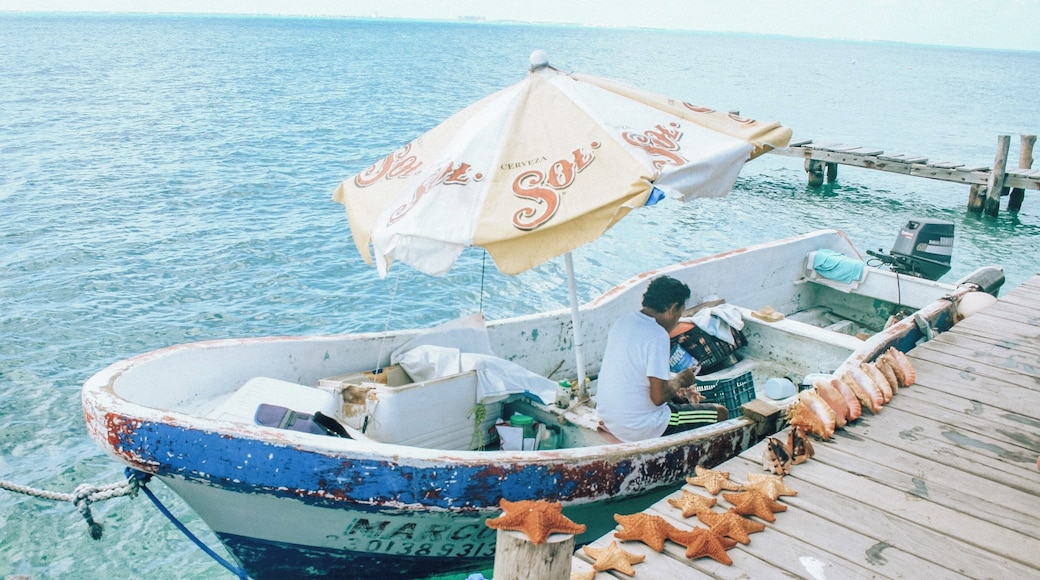 This guy sells starfish out of his boat! I had to opportunity to talk with him. He catches all his starfish and shells everyday. He can’t afford much so he decided to dock his boat and use that as his shop. Loved this idea!
#culture #mexico