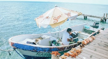 This guy sells starfish out of his boat! I had to opportunity to talk with him. He catches all his starfish and shells everyday. He canât afford much so he decided to dock his boat and use that as his shop. Loved this idea!
#culture #mexico
