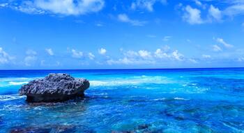 I always enjoyed being with friends and family every occasion until that day. June 2017,I took my first solo trip to Cancun,Mexico and fell in love with myself.I explored my interests, appreciated food and interacted with local people more. Still I couldn’t visit Underwater museum after diving due to fear of being alone,mostly. But I returned to ocean next day, sat there,enjoyed the breeze,waved to waves,took pretty photographs like this and then I knew I will be back to complete the Scuba dive.