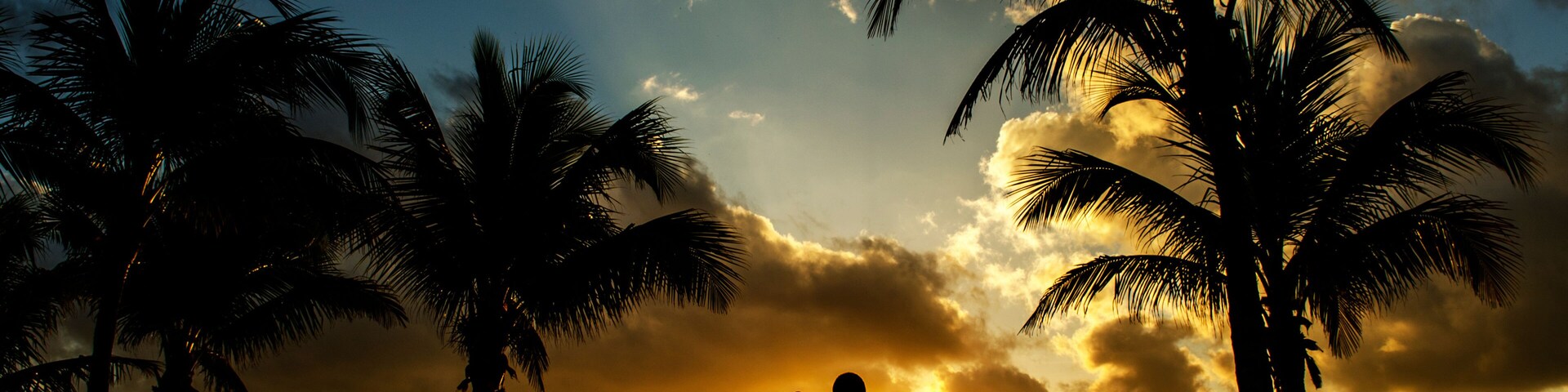 Siluetas de personas en una playa con palmeras y un atardecer.