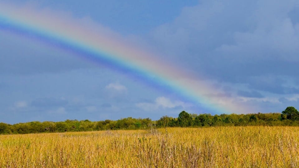 We outran the rain all day on the airboat and this was our treat ;)