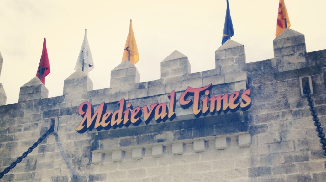Medieval Times Dinner and Tournament. Located in Kissimmee, FL. Great dinner show. Really fun experience; worth to give it a try.