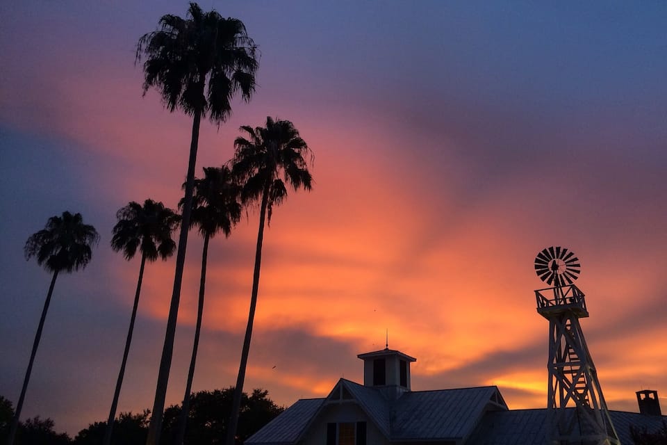 Un tramonto con palme e un mulino a vento.