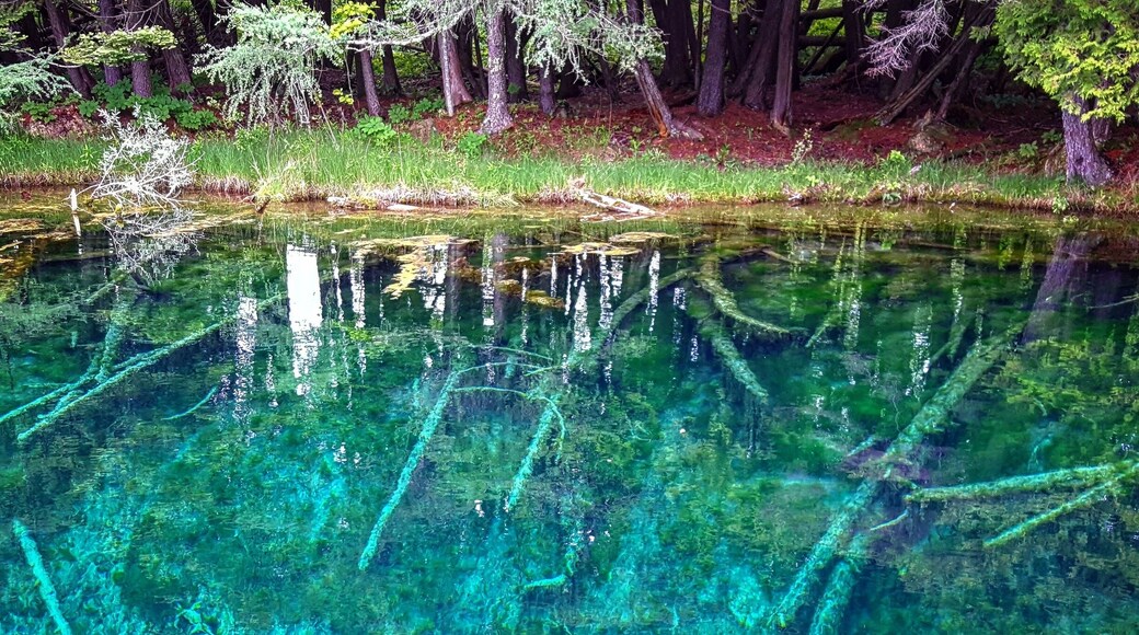 A 45 ft. deep natural spring in the upper peninsula of Michigan. It is so clear you can see the springs erupt on the bottom.