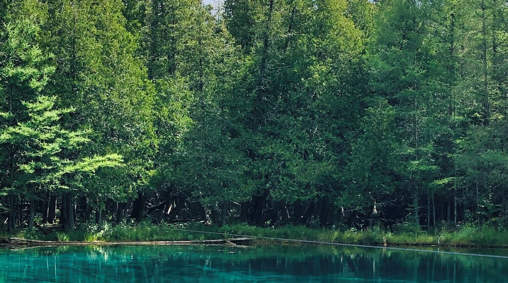 My travels brought me to this beautiful location in Upper Michigan. . ☀️❤️ This is a completely clear spring fed lake in Michigan...
August, 2019