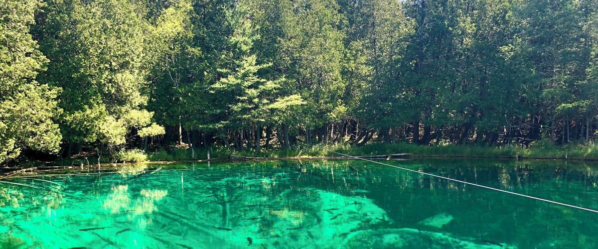 Yes, the water really is this color. The largest spring in Michigan with over 10,000 gallons per minute gushing from fissures in the limestone. At its deepest the water is 40 feet deep and averages 42 degrees year round.