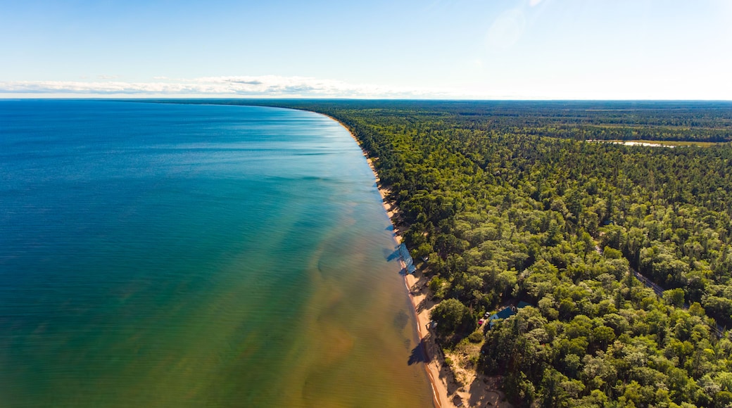 Manistique